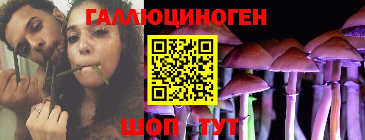 Псилоцибиновые грибы MAGIC MUSHROOMS  Вход с VPN  Луховицы 